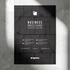 Infographic Poster